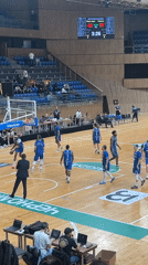 Basketball game and cat encounter documented in Varna, Bulgaria