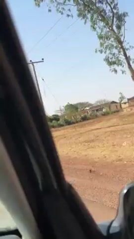 The video, taken from inside a moving vehicle, shows a rural landscape. The camera focuses on the right side view, revealing a red dirt road lined with vegetation.  Telegraph poles and overhead wires are visible.  In the background, a few houses can be seen amongst the trees. The sky is clear and blue.  The camera angle shifts slightly as the vehicle moves forward.