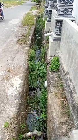 A motorcycle drives down a paved road. To the right of the road is a narrow, overgrown drainage ditch. The ditch contains stagnant water and debris, including plastic bottles and other refuse. The ditch is bordered by a concrete curb on the left and a concrete wall with decorative pillars on the right. Vegetation, including grass and weeds, grows densely within the ditch.