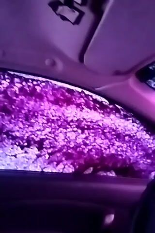 The video is a first-person perspective from inside a car, looking out the passenger side window. The window is covered in a thick, bubbly purple foam, suggesting the car is being washed. The interior of the car is dimly lit and appears to be purple or under purple lighting. The car's roof liner and sun visor are visible at the top of the frame. Outside the window, the foam obscures any clear view of the surroundings, though indistinct shapes of what might be trees or foliage are faintly visible through the suds. The camera is held relatively still, with only minor jolts and vibrations suggesting movement or the car is stationary. The overall impression is of being inside a car wash.