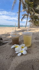 Early morning documentation of Nha Trang locations and facilities