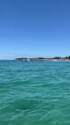The video shows a view of the sea under a clear blue sky on a sunny day.  The water is a vibrant turquoise color with small waves rippling across the surface. In the distance, there is a coastline with a beach, some greenery, and what appears to be buildings.  Several people are visible in the water near the shore, some of whom seem to be engaged in water sports like surfing or stand-up paddleboarding.