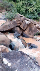 Muddy waterfall flows through Lang Biang forest in Vietnam