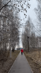 Early morning walker spotted on tree-lined path in Chaikovsky