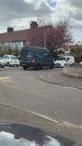 The video shows an Amazon Prime delivery van driving on a residential street. The van is gray and has the Amazon logo on the side. It's driving on the left side of the road around a curved section of the street. Other parked cars are visible, as is a white van across the street. There's a brick wall on the side of the road and houses in the background. A blooming tree with pink flowers is also visible. The sky is cloudy. A bird can be heard chirping.