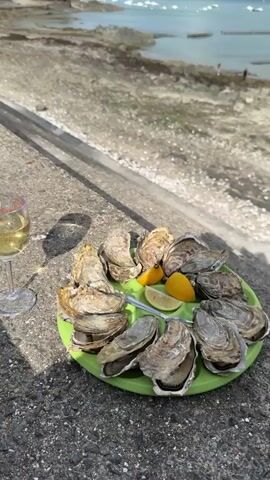 The video begins with a close-up of a green plate filled with oysters and lemon wedges, placed on a concrete surface. To the left, a glass of white wine is visible. The background shows a scenic view of a rocky coastline and the sea under a cloudy sky. As the video progresses, the camera pans up and to the right, revealing more of the coastline, with several boats anchored in the water and oyster farms visible. Some people are seen walking on the beach in the distance. The sunlight casts shadows on the concrete. The overall impression is of a relaxed meal enjoyed with a beautiful coastal view.