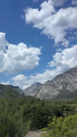 The video captures a scenic view of a mountainous landscape under a bright blue sky dotted with fluffy white clouds. In the foreground, lush green trees and bushes line the bottom of the frame, creating a dense forest. The middle ground features rolling hills covered in trees and some rocky terrain. In the background, the rugged slopes of larger mountains rise, their grey rocky surfaces contrasting with the green vegetation. The perspective suggests the video is being filmed from a moving vehicle, as evidenced by the slight blur and the changing vantage point of the trees and mountains. The overall impression is one of a natural, undeveloped environment on a clear, sunny day.