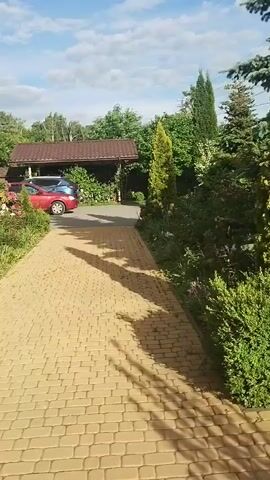 This is a video file captured in Khmilnyk, Ukraine. The scene depicts the exterior of a building, possibly a house or commercial establishment, with a paved walkway leading to its entrance. The building features a white facade, with several windows and doors, some of which are open. Planters with blooming pink and red flowers are strategically placed along the entrance area. Lush green bushes and trees surround the building, including a tall, conical evergreen tree.

In the background, a covered parking area with a brown roof is visible, with a red car parked underneath. The sky is partly cloudy, suggesting a pleasant daytime weather. The lighting indicates it is likely daytime, possibly late morning or afternoon. Shadows are cast on the walkway, hinting at the position of the sun.

The video appears to be a walkthrough or a pan across the property, showing different angles of the building's facade and the surrounding greenery. There are no people visible in the frame. The overall impression is one of a well-maintained property with a pleasant outdoor environment. No text is visible in the video.