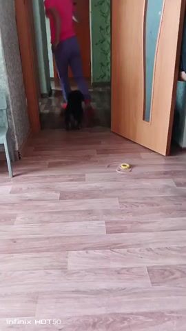 A young girl wearing a pink shirt and blue pants, with her hair in pigtails, is seen in a doorway with a small black dog. She is holding the dog, and appears to be interacting with it. The dog is looking towards the girl. The environment appears to be an indoor setting, possibly a hallway, with wood-paneled floors and doors.