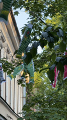 Architectural walkabout documented across Saint Petersburg's historic districts