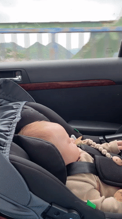 Baby sleeps during car journey across Montenegro bridge