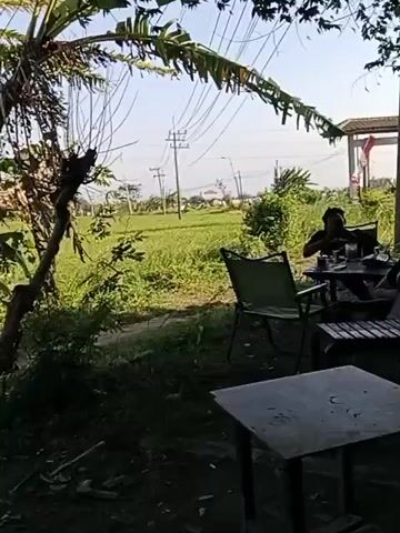 Two individuals are visible at a table outdoors. One person, wearing a dark shirt, is seated and appears to be holding a phone or a small object. Another person, also in a dark shirt, is seated opposite and is leaning forward, with their head lowered towards the table, obscuring their face. In the background, a triangular wooden structure is present, with one person seated on it. This person is wearing a dark shirt and is looking downwards. The environment appears to be rural, with a field and vegetation visible, along with a road and a small building in the distance. Power lines are also present.