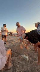 Beach sunset gathering with sand sculpting in Tel Aviv
