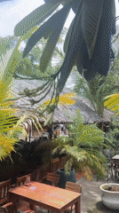 Relaxed stop at a tropical garden café