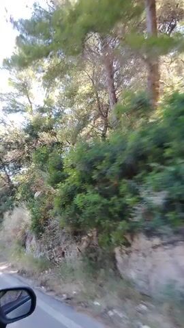 This is a first-person perspective video, likely from a moving vehicle, capturing a scenic drive. The view is dominated by lush green trees and vegetation bordering a winding road. Sunlight filters through the leaves, creating dappled patterns on the ground and road. The road itself appears to be paved and is visible on the left side of the frame, with a rearview mirror in the bottom left corner. The terrain is hilly, with rocky outcrops and dense foliage. The sky is a clear blue, indicating a sunny day. There are no people visible in the video, and the primary action is the forward movement along the road.