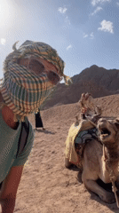 Desert tourism activities documented near Sharm El Sheikh