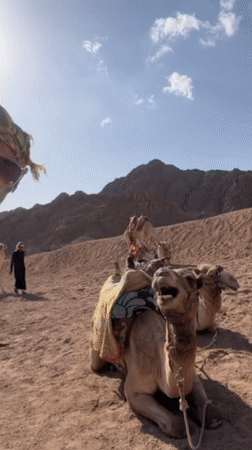 Desert tourism activities documented near Sharm El Sheikh