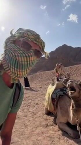 Desert tourism activities documented near Sharm El Sheikh