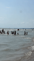 Crowded summer beach day on the Adriatic at Pineto