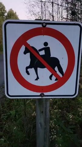 A sign with a silhouette of a person riding a horse inside a red circle with a diagonal line through it is mounted on a wooden post. The sign is white with black and red graphics. The background is out of focus, but appears to be a wooded area with trees and foliage. The lighting suggests it is either dawn or dusk.