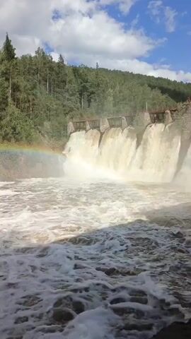 The video shows a wide shot of a dam with multiple spillways actively releasing a large volume of water. The water cascading down the spillways is a light brown color and creates a significant amount of white foam and mist at the base. Sunlight illuminates the scene, and a faint rainbow is visible to the left of the falling water. The dam structure itself appears to be made of concrete and stone, with metal walkways or railings visible along the top. Behind the dam, a lush green forest covers a hillside. The sky is blue with scattered white clouds. The water at the bottom of the frame is turbulent and foamy, indicating the force of the water flow. There are no people visible in the video.