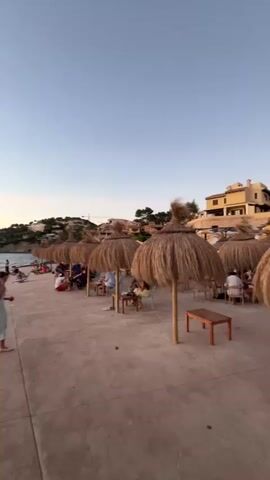 This is a vertical, outdoor video filmed during golden hour. The scene is a paved area along the coast with a body of water on the left and buildings on a hill in the background. There are straw umbrellas casting shadows on the paved area, providing shade for tables and chairs. Several people are seated at tables, appearing to be dining or socializing. In the foreground, a woman in light-colored athletic wear stands near the paved edge. Further down the paved area, closer to the water, other people are sitting on the ground. The sky is a clear, pale blue, transitioning to a soft orange hue near the horizon where the sun is setting.