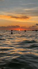 Siesta Key beach crowd in the water at sunset