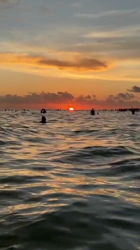 Siesta Key beach crowd in the water at sunset