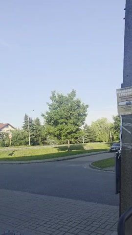 The video shows a street scene with a clear blue sky. A paved road curves to the right, bordered by a grassy area with several trees. A single, leafy green tree stands prominently in the middle of the scene. In the background, there are houses and more trees, some of which appear to be pine trees. A black car is visible driving on the road in the distance. A traffic sign with a yellow triangle and a red border is also present. The foreground shows a brick-like paved surface. A pole with some posters is visible on the far right of the frame. There are no people clearly visible.