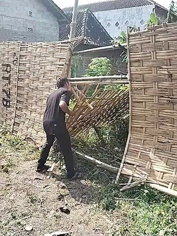 A person dressed in black is removing pieces of a broken bamboo fence, revealing an area of green vegetation. Behind them, a group of people is observing. The fence is woven and has a sign attached. The setting appears to be outdoors, with houses visible in the background. The ground is dirt and scattered with debris.