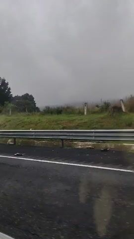 A person wearing a yellow reflective vest and black pants stands on the side of a wet asphalt road, facing away from the camera. To their left, on the grass behind a metal guardrail, are some dark, indistinct objects. Further down the road, a white rescue vehicle with red and yellow flashing lights is visible. The road is bordered by a grassy embankment and trees. The sky is overcast.