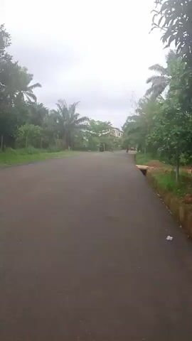 The video shows a wide-angle shot of a paved road in Nsukka, Nigeria, flanked by dense green trees and tropical vegetation, including palm trees. The sky is overcast, indicating a cloudy day. In the distance, a multi-story building is partially visible through the trees.

At the beginning of the clip, two individuals are walking away from the camera down the road. One of them appears to be pushing a bicycle or a two-wheeled cart. As the video progresses, a third person walks from the right side of the frame towards the camera. On the right side of the road, near the foreground, a small wooden structure covers a ditch, and a piece of white litter is visible on the ground. A car is briefly seen further down the road on the right side towards the end of the short clip.
