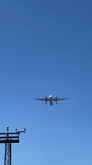Aircraft spotted landing in Luxembourg amid spring wildflowers