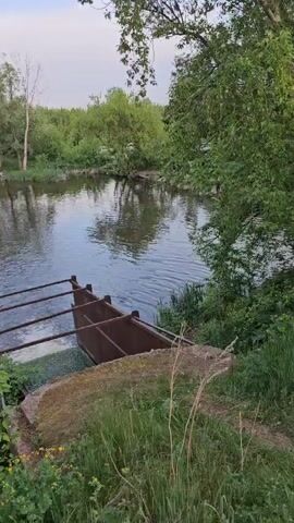 The video shows a small body of water, likely a pond or a widening of a river, with a metal structure in the foreground that appears to be a type of water control device.  The structure has horizontal bars and a partially submerged section. The water is still, with visible ripples emanating from the structure. The surrounding environment consists of lush green vegetation, including trees and grass. The sky is overcast, suggesting either early morning or late evening. No people are visible.