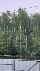 Nighttime nature footage captured in rural Vasilyevo, Russia