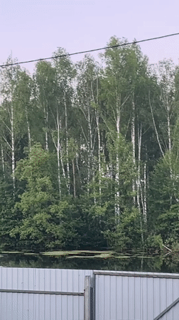 Nighttime nature footage captured in rural Vasilyevo, Russia