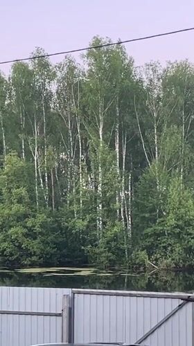 Nighttime nature footage captured in rural Vasilyevo, Russia