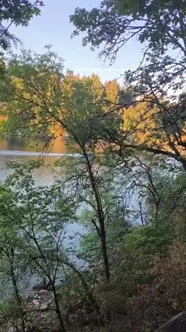 A serene body of water reflects the warm hues of autumn foliage. Tall trees, adorned with leaves transitioning from green to vibrant yellows and oranges, frame the scene. The water appears calm, with subtle ripples indicating a gentle flow. Sunlight illuminates the trees, casting a warm glow on the landscape. The foreground is dominated by lush green foliage, with branches and leaves creating a natural frame for the distant view. The sky above is a clear, pale blue, suggesting a peaceful, late afternoon or early morning setting.