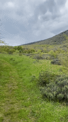 Hiker documents rural Ukrainian hillside path and moss-covered rocks