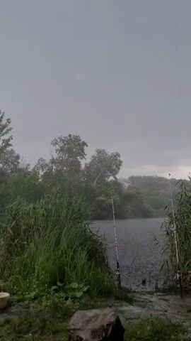 The media file captures a serene yet somber scene by a body of water, likely a lake or slow-moving river, under a gray, overcast sky. The setting appears to be a natural, rural area, possibly a fishing spot, given the presence of two fishing rods planted upright in the muddy bank. One rod is closer to the left edge of the frame, while the other is positioned further to the right, closer to the water's edge.

Lush green reeds and tall grass dominate the foreground and the banks of the water, creating a sense of enclosure and wildness. Beyond the reeds, a dense line of trees forms a dark green backdrop against the muted sky. The water itself is dark and appears to be rippling, suggesting a gentle breeze or possibly light rain. The overall atmosphere is tranquil but also somewhat melancholic, with the heavy clouds and subdued lighting contributing to a mood of quiet contemplation.

The time of day is difficult to pinpoint precisely due to the overcast conditions, but it likely falls within daylight hours, perhaps late afternoon or early evening. The weather appears to be gloomy, with the sky suggesting imminent rain or perhaps a recent shower. There are no people visible in the frame. A large, dark rock sits in the lower left foreground, adding a touch of texture to the scene. The location context is Potoky, Ukraine. No text is visible in the media file.
