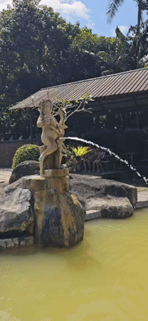 Morning bathing ritual observed at Balinese water temple