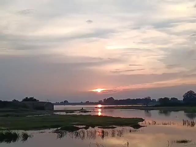 A sunset is captured over a tranquil body of water. The sky is a blend of soft grays and pinks, with the sun a glowing orb peeking through wisps of clouds. The water reflects the colors of the sky, creating a shimmering, ethereal effect. Along the shoreline, patches of green grass and darker shadows hint at the surrounding landscape. A small, dark figure appears to be sitting on a rocky outcrop in the middle of the water, facing the setting sun. To the far left, a simple, weathered structure, possibly a small building or ruin, is visible amongst the vegetation. Trees dot the distant horizon, silhouetted against the fading light. The overall atmosphere is one of peaceful solitude and natural beauty.