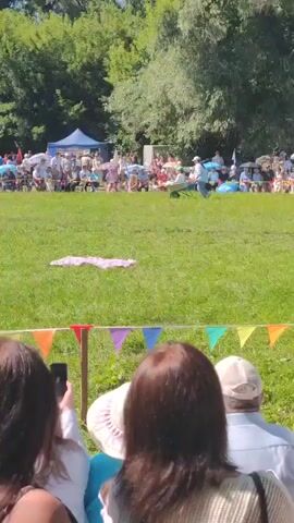 The video shows an outdoor event on a sunny day. A crowd of people are seated on chairs in the background, watching an activity in a grassy field. In the foreground, a woman with dark hair is seen from behind, holding a phone. To her right, another person wearing a white hat is also facing the activity. In the middle of the field, a person is lying in a wheelbarrow that is positioned on a green metal stand with what appear to be bricks on it. Another person, wearing a light blue shirt and jeans, is running and pushing the wheelbarrow. A small inflatable pool is visible in the lower left corner of the frame. Colorful triangular flags are strung across a wooden pole in the foreground. Trees are visible in the background behind the seated spectators and tents.