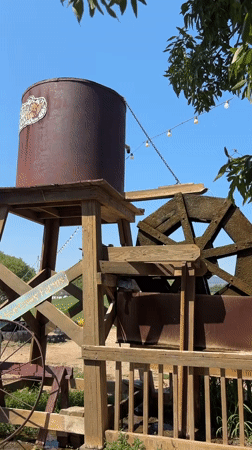 Afternoon at Mortimer Farms: animals, water wheel, and farm life