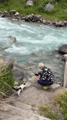 Morning drive through mountains captures wildlife and riverside encounters