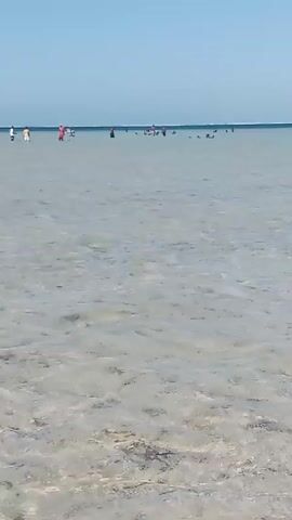 The video shows a shallow, clear body of water, likely a beach or tidal flat, with a sandy bottom visible through the water.  A number of people are walking and wading in the distance. The sky is clear and blue. The weather appears sunny. The camera is handheld and slightly shaky. There is the sound of wind.