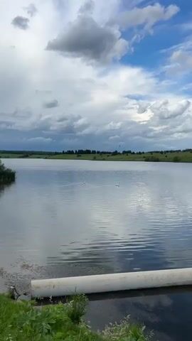 The video shows a wide shot of a lake with a cloudy sky above. Two white swans are swimming in the water. The shoreline is visible in the distance, with trees and green fields. In the foreground, a white pipe runs horizontally across the bottom of the frame. The water is calm and reflects the sky.