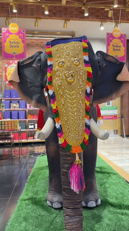 Life-sized elephant statue displayed in Gangamuthanahalli commercial space