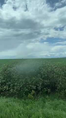 The video shows a large, green field under a sky with mostly cloudy, but also some blue sky. The field is flat and appears to be planted with crops. The grass in the foreground is taller and blowing in the wind. The video appears to be taken from a moving vehicle.