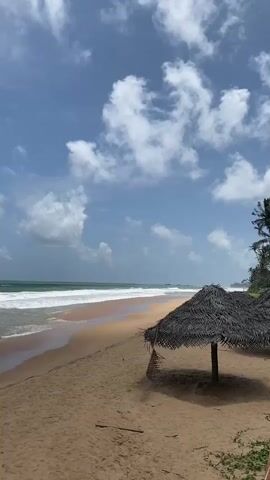 A vertical video shows a tropical beach with a sandy shore and gentle waves crashing on the shore. The sky is blue with scattered white clouds. In the foreground, a thatched umbrella stands on the sand. Palm trees are visible on the right side of the frame, bordering the beach. The scene is calm and serene, with no people visible. The lighting suggests it is daytime, likely morning or afternoon.